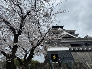 熊本城2